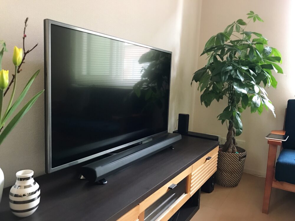 テレビ